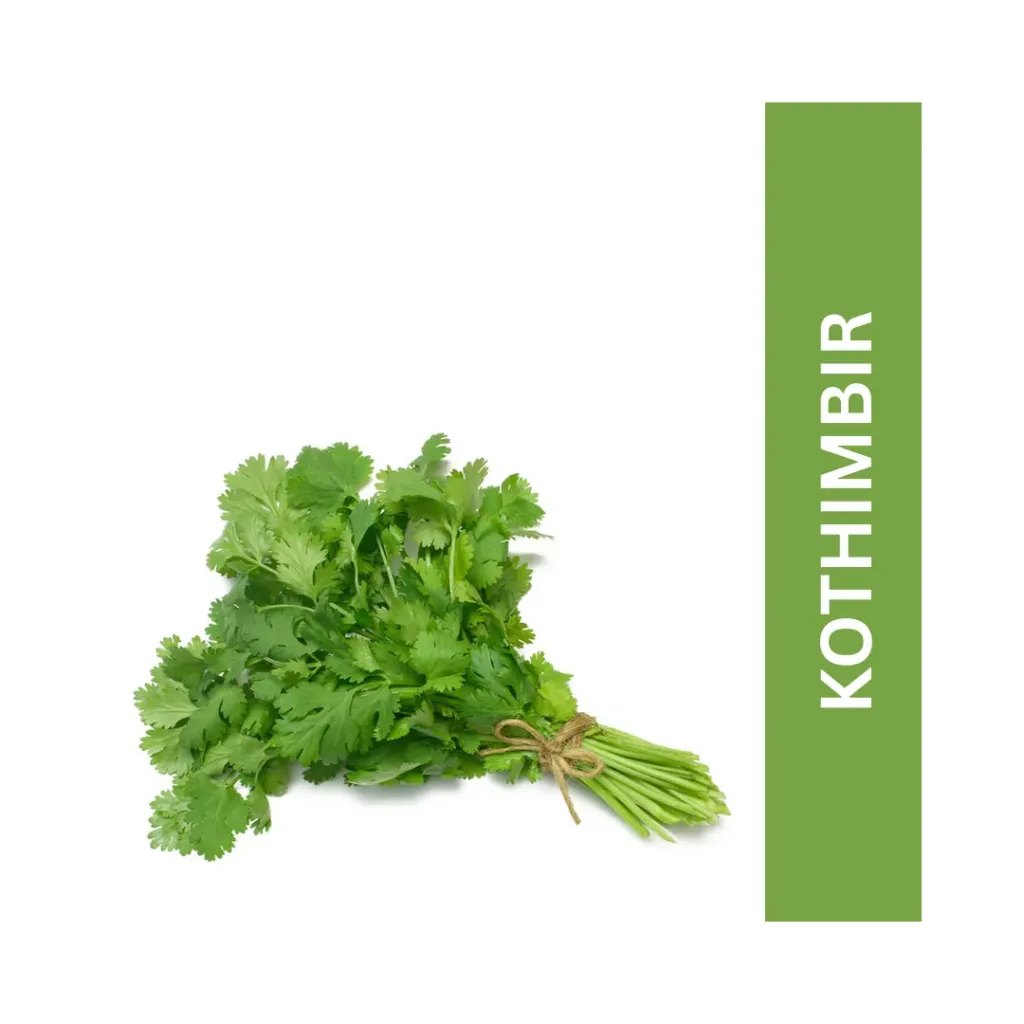 Kothimbir ( कोथिंबीर )