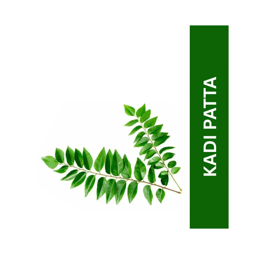 Kadi Patta ( कडी-पत्ता )