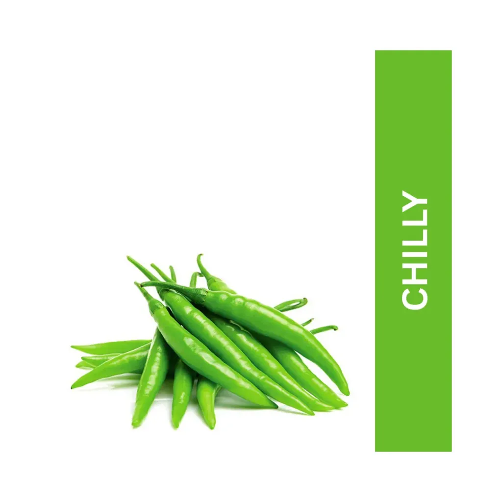 Chilly ( मिरची )