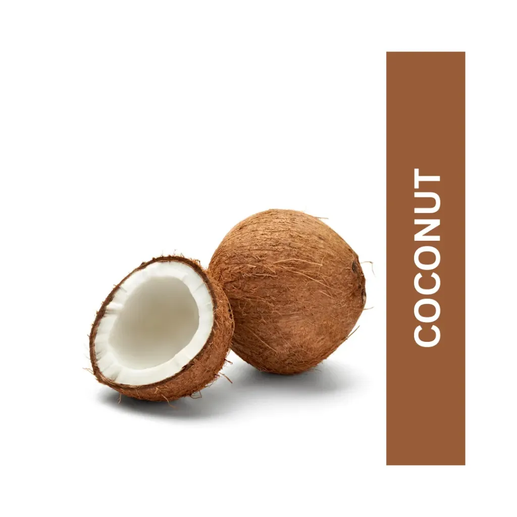 Coconut ( नारळ )