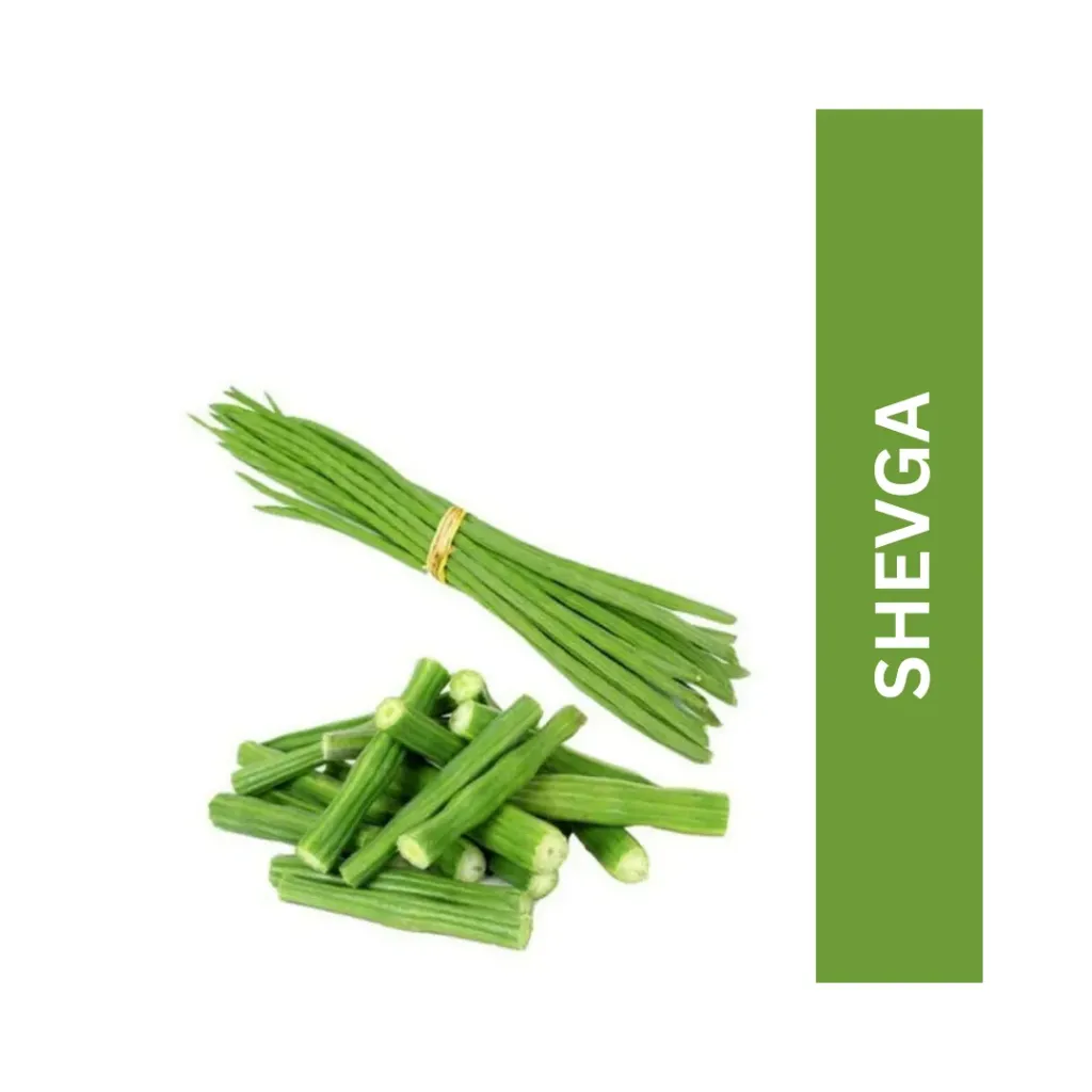 Shevga ( शेवगा )